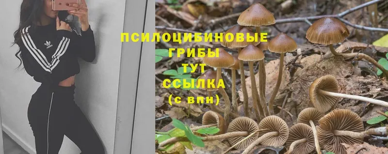 Псилоцибиновые грибы Magic Shrooms  Ардон 